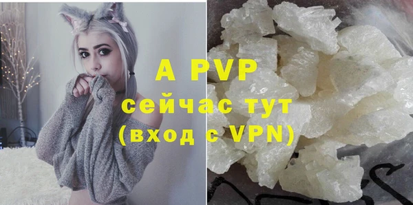 гидра Балахна