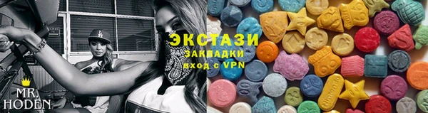 амф Каменка